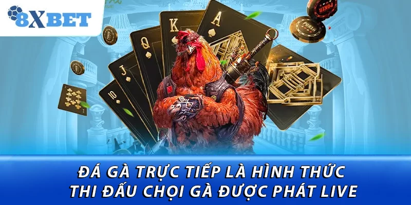 Đá gà trực tiếp là hình thức thi đấu chọi gà được phát live