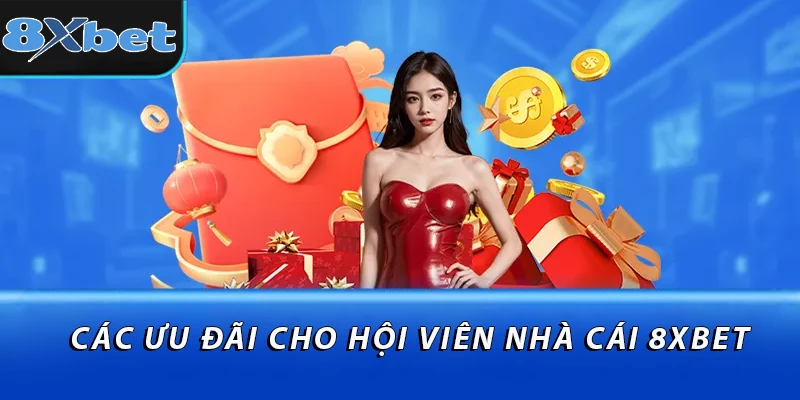 Các ưu đãi cho hội viên nhà cái 8XBET