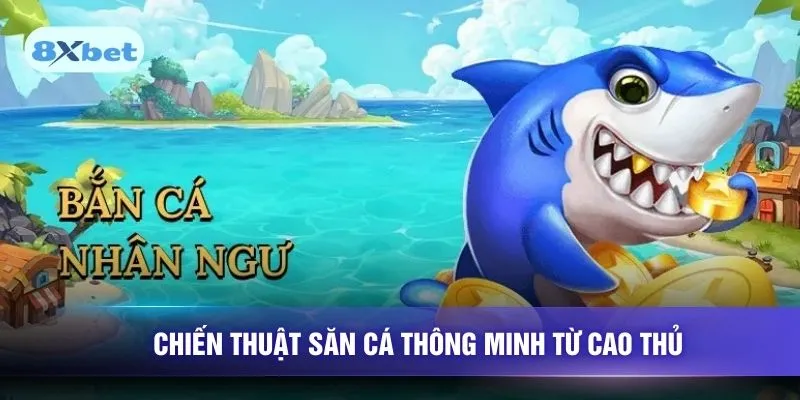 Chiến thuật săn cá thông minh từ cao thủ