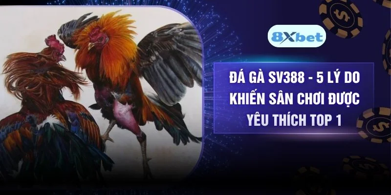 Đá Gà SV388 - 5 Lý Do Khiến Sân Chơi Được Yêu Thích Top 1